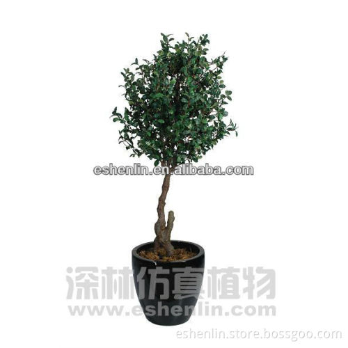mini artificial money tree/plants